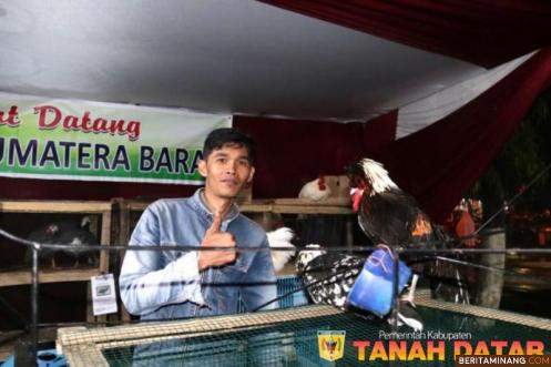 Hendara Suzandi dan ayam hiasnya saat ikut pameran. Humas Tanah Datar.