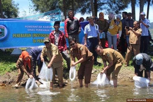 Suasana tebar ikan di Danau Diatas Alahan Panjang Solok. Foto Siska