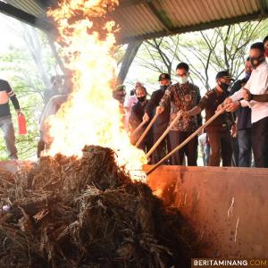 Disaksikan Forkopimda,Polres Payakumbuh Musnahkan BB Narkotika Jenis Ganja