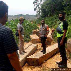 Petugas polisi saat menyita kayu yang diduga hasil ilegal loging di Nagari Koto Nan IV, Kecamatan IX Koto, Kabupaten Dharmasraya. Foto: Eko P