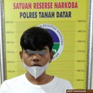 Tersangka pengedar ganja kering di Polres Tanah Datar.
