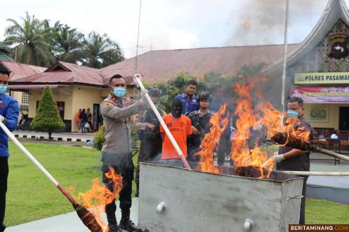 Wakapolres Pasaman Barat Kompol Omri Yan Sahureka, S.H., S.I.K Pimpinan Pemusnahan Barang Bukti Ganja di Halamam Mako Polres Pasbar. Kamis (14/3/2023). Foto : Hr