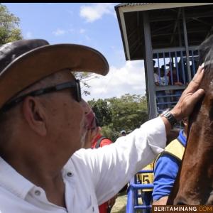 Pelatih kuda senior Rudi Rattu saat mengusap dengan kasih sayang kuda sunlight nagari milik Gubernur Sulut Olly Dondokambey / Mario Bahar Bendang Stable yang menjuarai kelas 3 tahun 2000 meter saat babak penyisihan pekan lalu. (foto : Iyos)