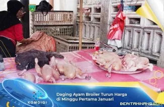 Daging ayam broiler yang diperdagangkan di Pasar Padang Panjang. Ilustrasi: Kominfo Padang Panjang