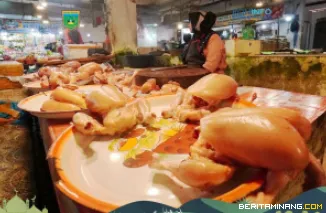 Ayam broiler yang diperdagangkan di Pasar Padang Panjang. Foto: Kominfo Padang Panjang