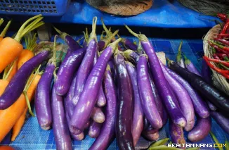 Terong diperjualbelikan di Pasar Padang Panjag. Foto: Kominfo Padang Panjang