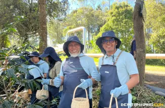 Gubernur Sumbar Mahyeldi Ansharullah ketika menghadiri acara Panen Bersama dan Pelepasan Ekspor Kopi Kamojang di area Geothermal Kamojang, Kabupaten Garut, Jum'at (18/7/2025). Foto: Adpim Sumbar