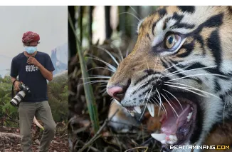 Andri Mardiansyah dan harimau sumatera (Panthera tigris sumatrae)