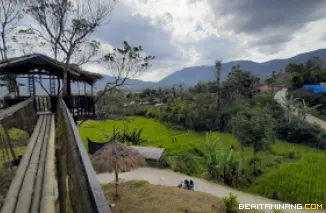 Kampung/Jorong Tabek yang jadi binaan KBA Talang Babungo di Kecamatan Hiliran Gumanti Kabupaten Solok, Sumbar yang begitu indah, dipotret Minggu (3/8/2025). Foto-Foto: Marjeni Rokcalva/BeritaMinang