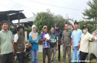 Dinas Pertanian dan Pangan Bukittinggi aktifkan kegiatan Yandukeswan untuk menjaga kualitas kesehatan kuda bendi.